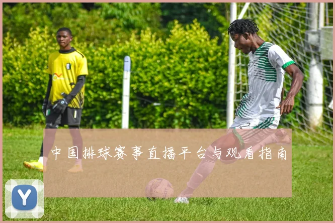 中国排球赛事直播平台与观看指南
