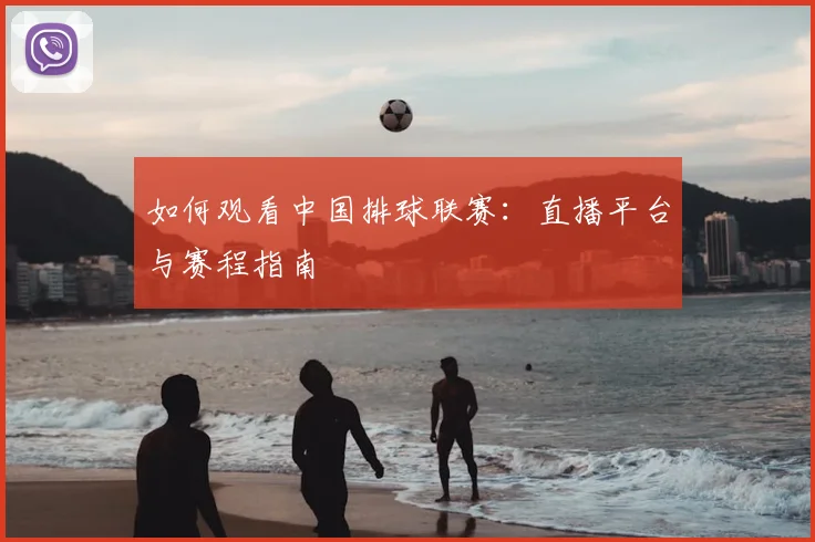 如何观看中国排球联赛：直播平台与赛程指南