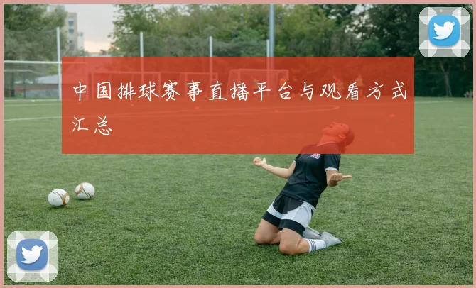 中国排球赛事直播平台与观看方式汇总