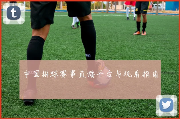 中国排球赛事直播平台与观看指南