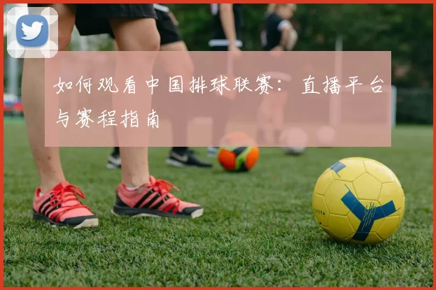 如何观看中国排球联赛:直播平台与赛程指南